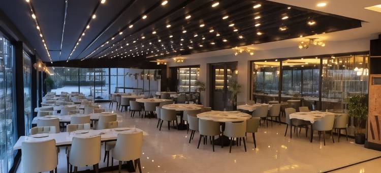 阿涅蒙肯特埃登酒店(Anemon Kent Aydın Otel)图片