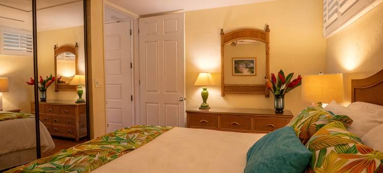 免度假村费及停车费精美海滨一层公寓配有空调.(No Resort or Parking Fees. Beautiful Ocean Front, Ground Level Condo with A/C.)图片