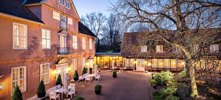阿尔索夫斯特霍夫酒店(Althoff Hotel Fürstenhof)图片