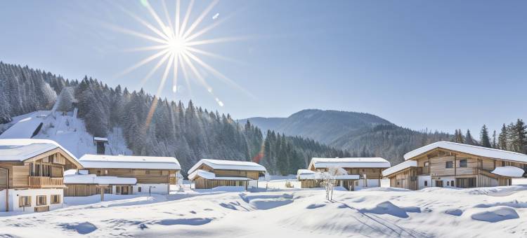 罗莱夏朵古特斯泰恩巴赫木屋酒店(Relais & Châteaux Gut Steinbach Hotel Chalets Spa)图片
