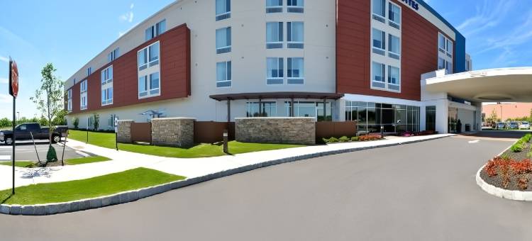 沃里斯芒特劳雷尔/樱桃山万豪SpringHill Suites 酒店(SpringHill Suites Voorhees Mt. Laurel/Cherry Hill)图片