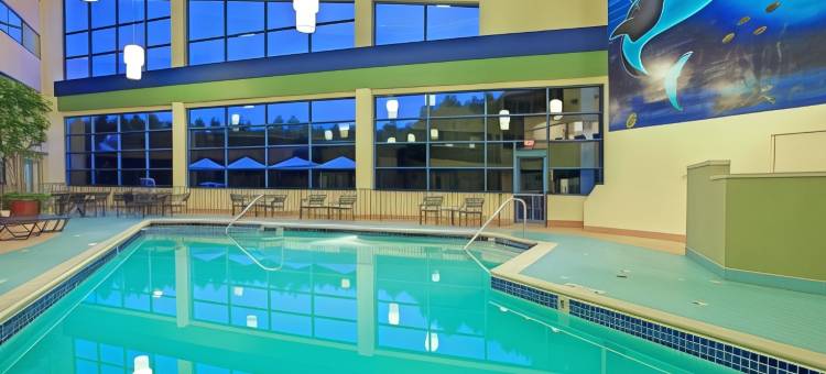 Wyndham Flint MI/Grand Blanc/Bishop Airport/Conference Ctr图片