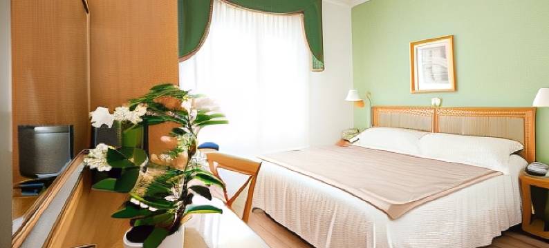 旅游酒店(Hotel Touring)图片