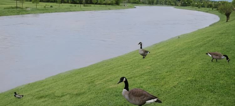赛维尔维尔 - 鸽子谷河滨伊克诺旅馆(Econo Lodge Sevierville-Pigeon Forge on the River)图片