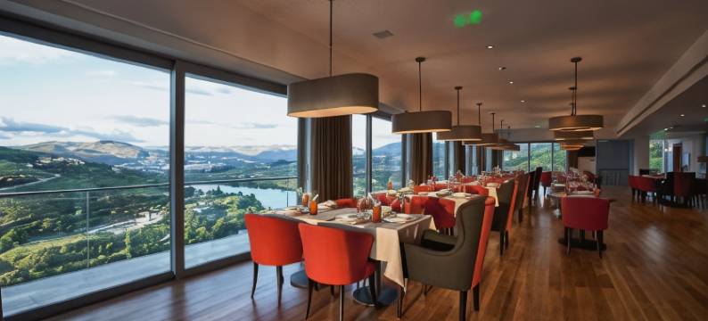 德尔芬杜罗酒店(Delfim Douro Hotel)图片