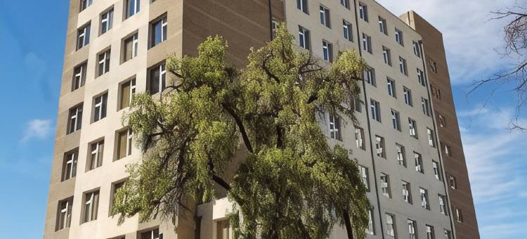 卡拉马快捷迪亚哥阿玛格罗酒店(Hotel Diego de Almagro Calama Express)图片