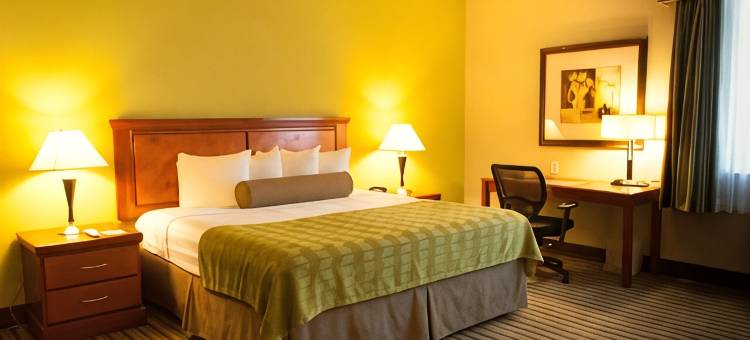 迈阿密机场西贝斯特韦斯特优质套房酒店(Best Western Plus Miami-Doral/Dolphin Mall)图片