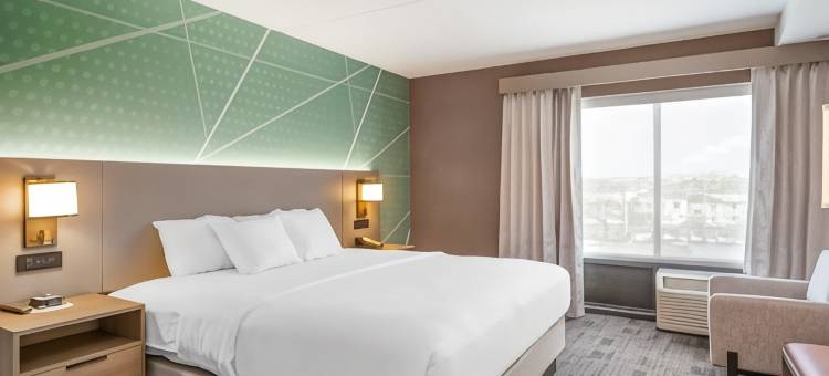 沃特敦舒适套房酒店-千岛(Comfort Inn & Suites Watertown - 1000 Islands)图片