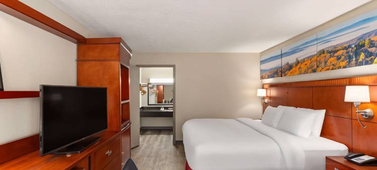 诺克斯维尔东温德姆戴斯酒店(Days Inn by Wyndham Knoxville East)图片