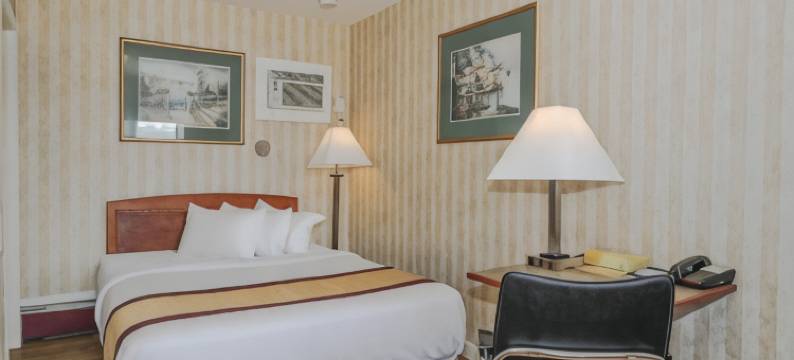 卡尔加里奇努克站加拿大最佳价值酒店(Canadas Best Value Inn Chinook Station)图片