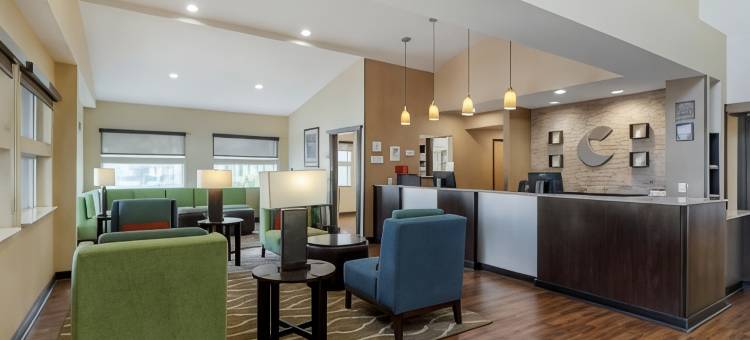 达拉斯沃思堡国际机场舒适套房酒店(Comfort Suites DFW Airport)图片