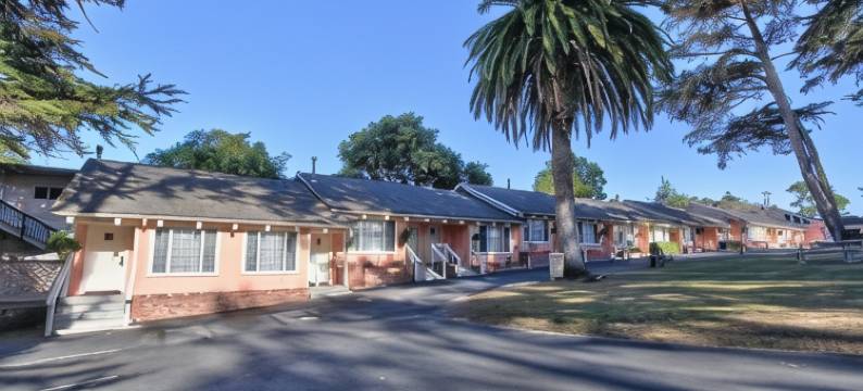 蝴蝶格罗夫旅馆(Butterfly Grove Inn)图片