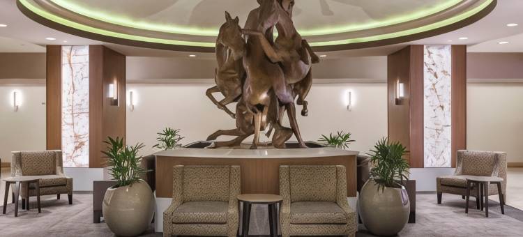 波罗塔楼度假村(Hilton Vacation Club Polo Towers Las Vegas)图片