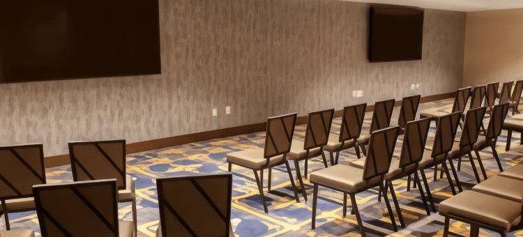 希尔顿花园酒店明尼阿波利斯大学区(Hilton Garden Inn Minneapolis University Area)图片