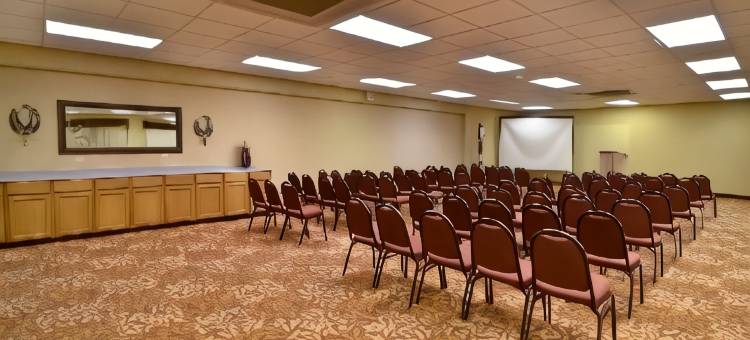 布兰森贝斯特韦斯特酒店及会议中心(Best Western Branson Inn and Conference Center)图片