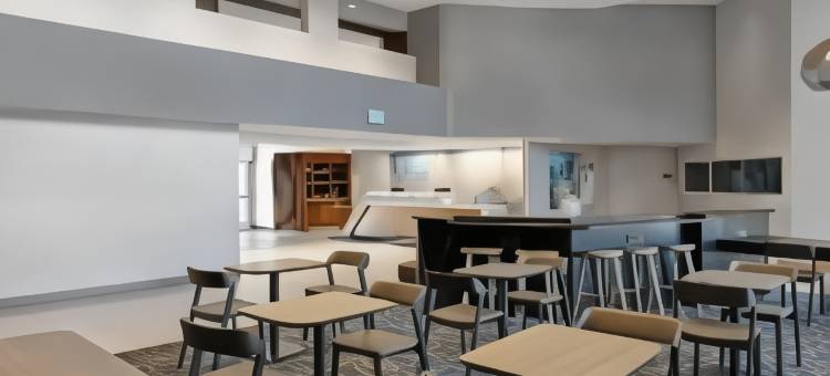 棕榈沙漠万豪SpringHill Suites酒店(SpringHill Suites Palm Desert)图片