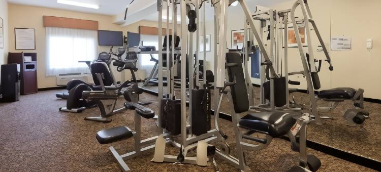 绿洲贝斯特韦斯特酒店(Best Western Oasis Inn)图片