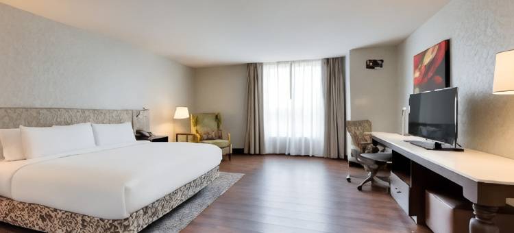 北休斯敦斯普林希尔顿花园酒店(Hilton Garden Inn North Houston/Spring)图片