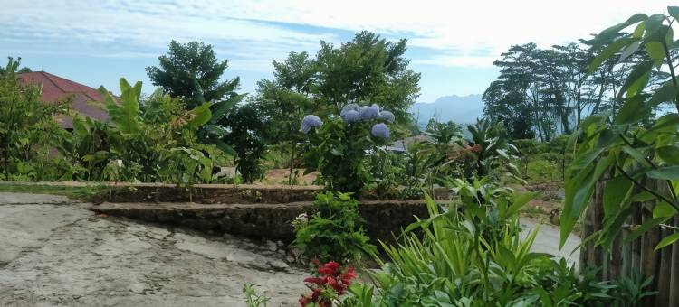 Karleta Homestay图片