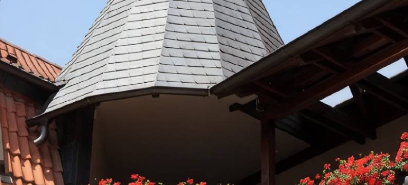 沃尔米尔斯泰特酒店 - 雷吉欧酒店(Regiohotel Wolmirstedter Hof Wolmirstedt)图片