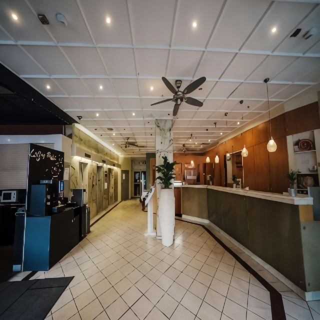 Savoy Hotel Over view