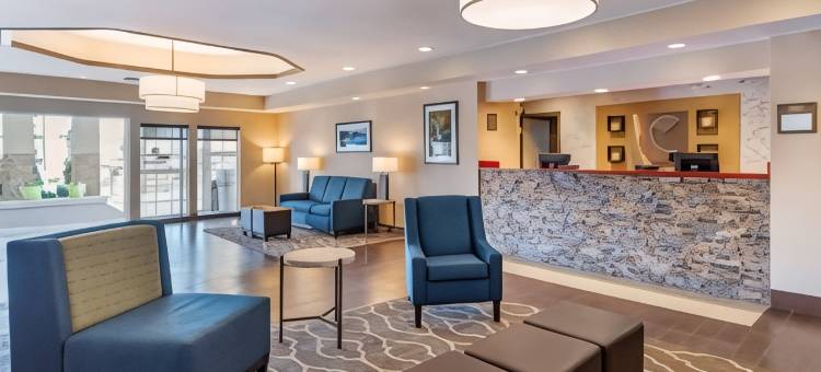 舒适套房酒店(Comfort Inn & Suites)图片