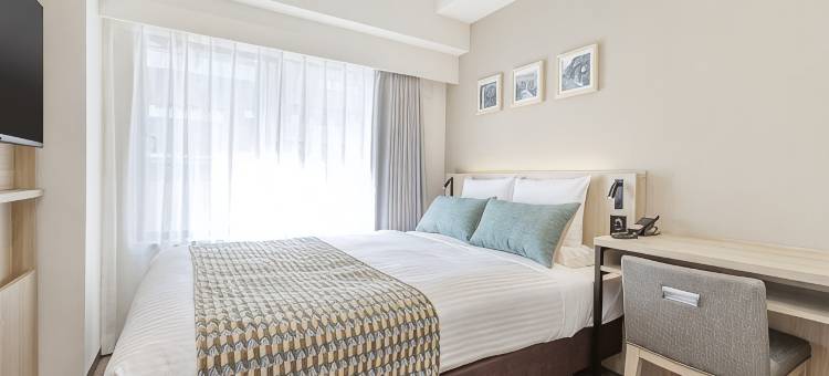MYSTAYS 日暮里酒店(HOTEL MYSTAYS Nippori)图片