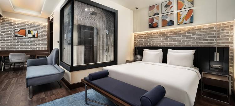 迪卡蒙多加拉塔 - 臻品之选酒店(DeCamondo Galata, a Tribute Portfolio Hotel)图片