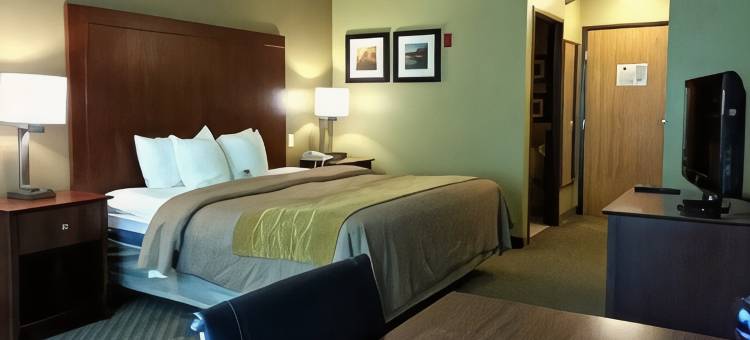 东莫林舒适套房酒店 - 近 I-80(Comfort Inn & Suites East Moline Near I-80)图片
