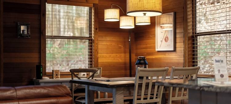 山间; 托科阿河 配有火坑的宁静木屋，可携犬(Peaceful Cabin in the Mountains; Near Toccoa River w/Firepit, Dog-Friendly)图片