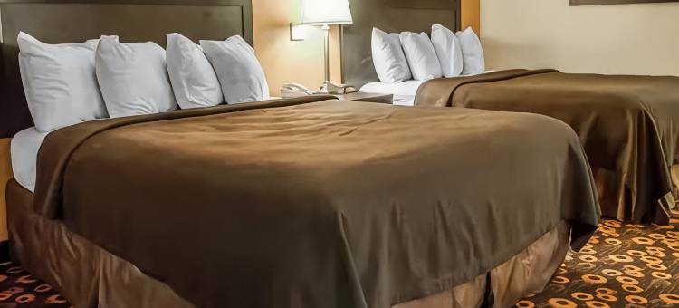 伊康套房旅馆(Econo Lodge Inn & Suites)图片