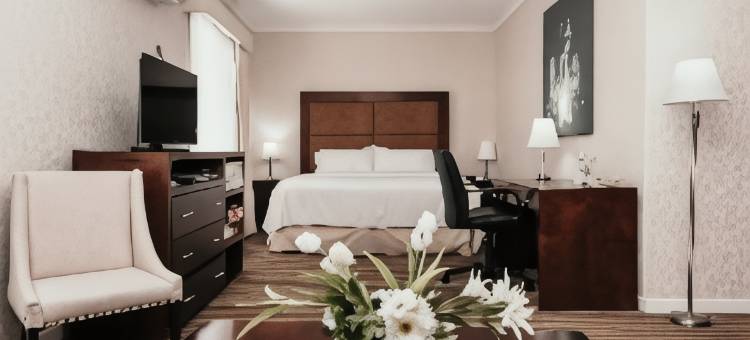 杜兰戈假日酒店(Holiday Inn DURANGO by IHG)图片