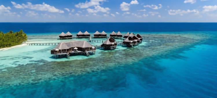 马尔代夫美憬阁米里希V别墅(V Villas Maldives at Mirihi - MGallery Collection)图片