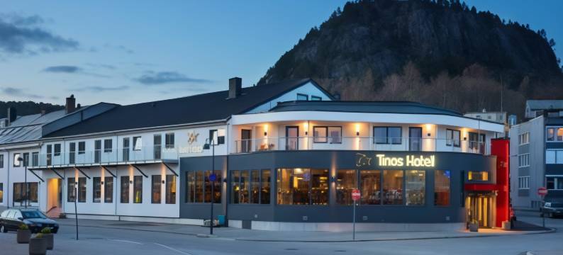 蒂诺酒店(Tino's Hotel)图片