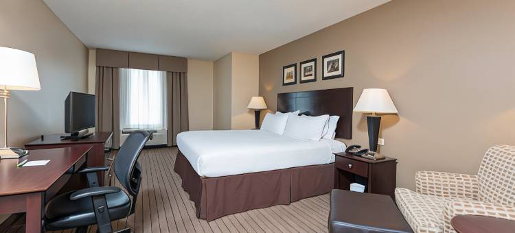 Holiday Inn 奥罗拉北，内珀维尔(Holiday Inn Aurora North- Naperville)图片