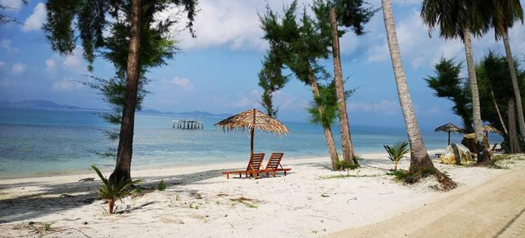 丁宜岛 SHAZ度假村(Shaz Resort Pulau Tinggi)图片