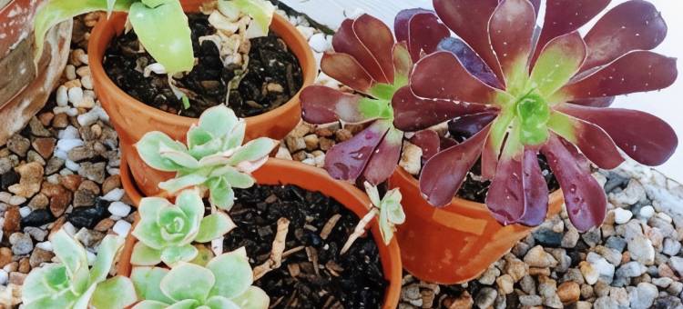 班德河汽车旅馆(Motel Riverbend)图片