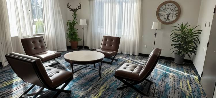 品质酒店(Quality Inn)图片