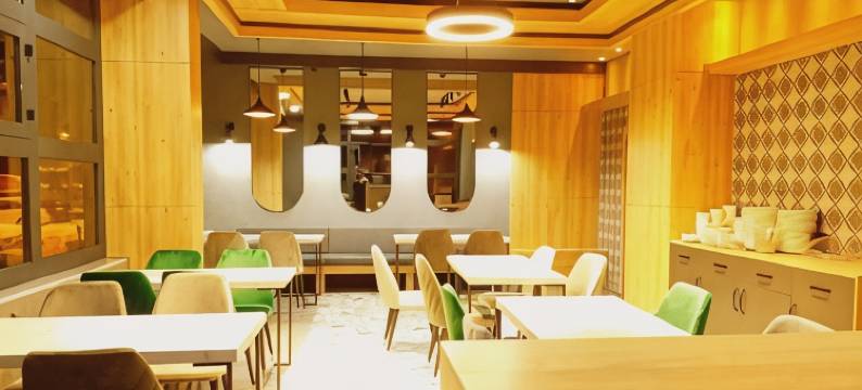 动力酒店(Dinamik Otel Sarıkamış)图片