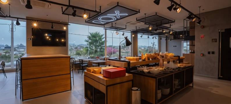 宜必思瓜拉普阿瓦酒店(Ibis Guarapuava)图片