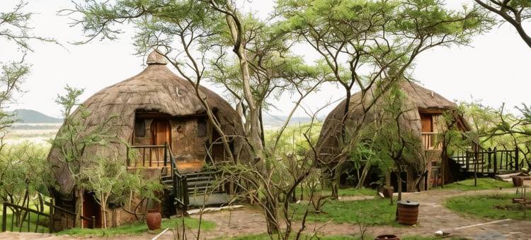 塞蕾娜塞伦盖蒂野生动物园小屋(Serengeti Serena Safari Lodge)图片