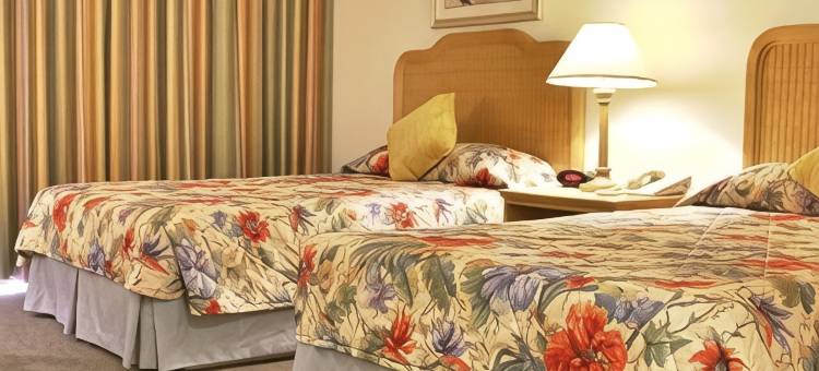 大巴哈马岛漂流套房度假村(Castaways Resort and Suites)图片
