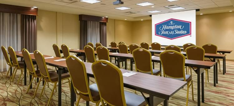 希尔顿欢朋套房酒店-皮奥里亚西(Hampton Inn & Suites Peoria at Grand Prarie)图片