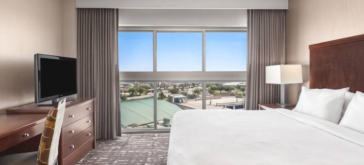 达拉斯弗赖拉辛希尔顿安泊水疗酒店&会议中心(Embassy Suites by Hilton Dallas Frisco Hotel & Convention Center)图片