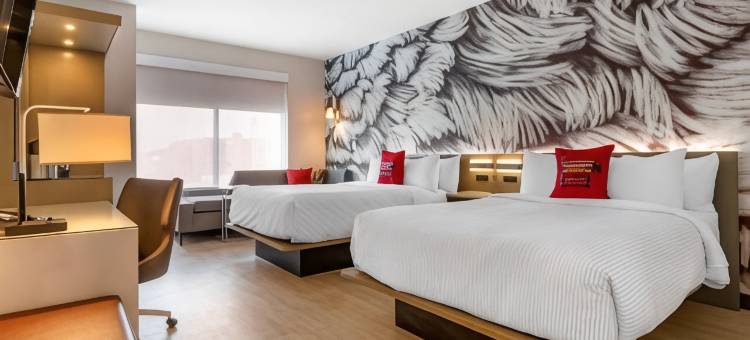 岩石丘-大学中心坎布里亚酒店(Cambria Hotel Rock Hill - University Center)图片