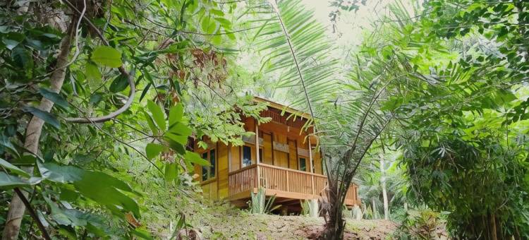 Nomad Divers Bangka图片