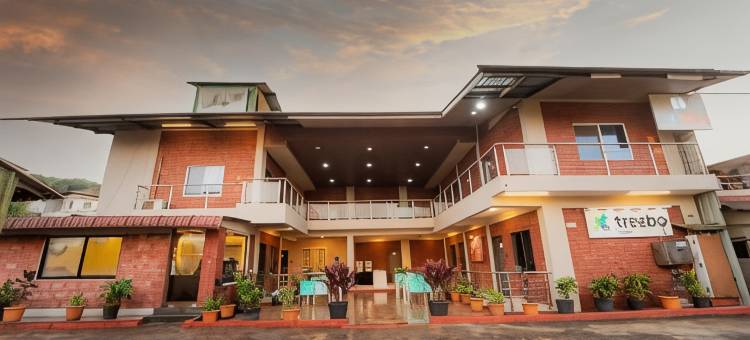 Treebo 冰山(Treebo Iceberg)图片