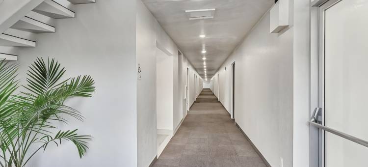 犹他市中心奥格登6号汽车旅馆(Motel 6 Ogden, UT- Downtown)图片