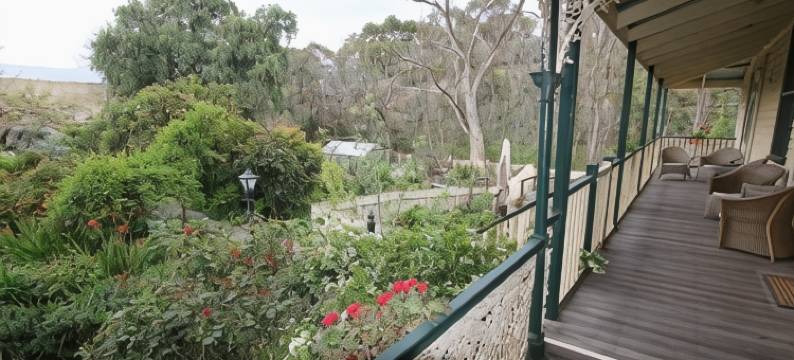 棕榈屋住宿加早餐旅馆(Palm House)图片