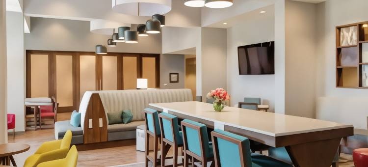 纳什维尔北天际线智选假日套房酒店(Hampton Inn & Suites by Hilton Nashville North Skyline)图片